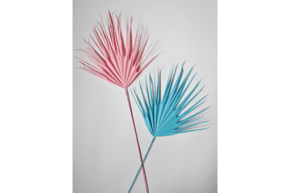 Download Decorative Palm Leaf - Decorative Collection